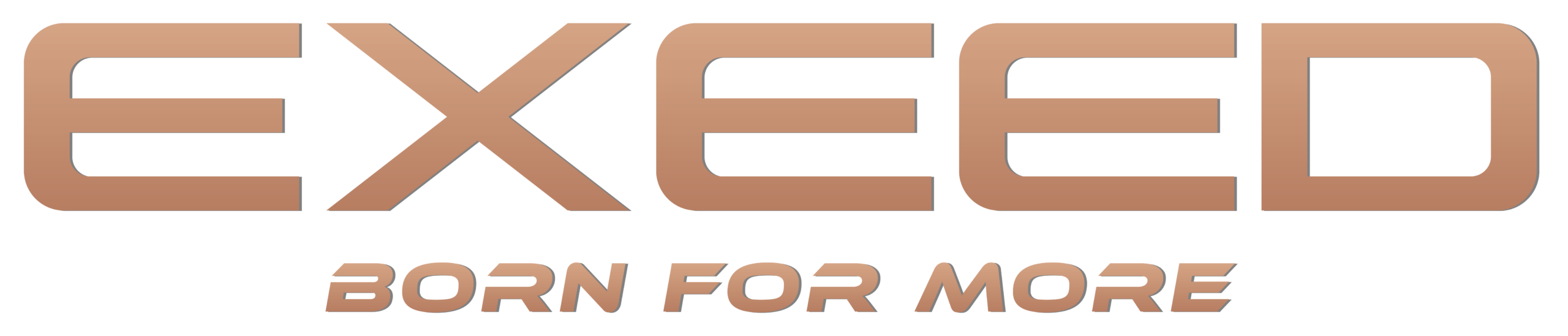 LOGO exeed